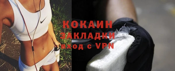 PSILOCYBIN Аркадак