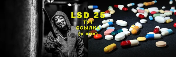 индика Армянск