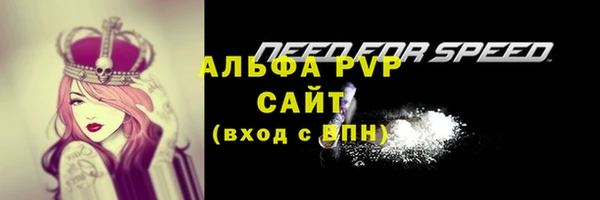 PSILOCYBIN Аркадак