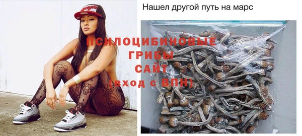 PSILOCYBIN Аркадак