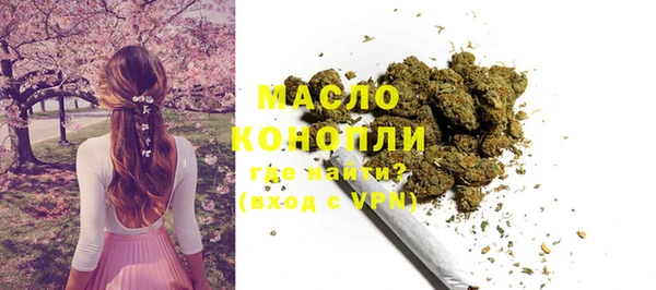 индика Армянск