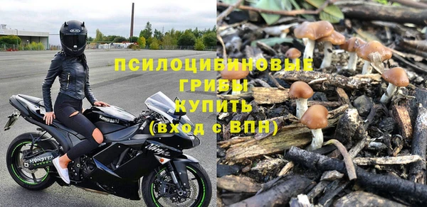 PSILOCYBIN Аркадак