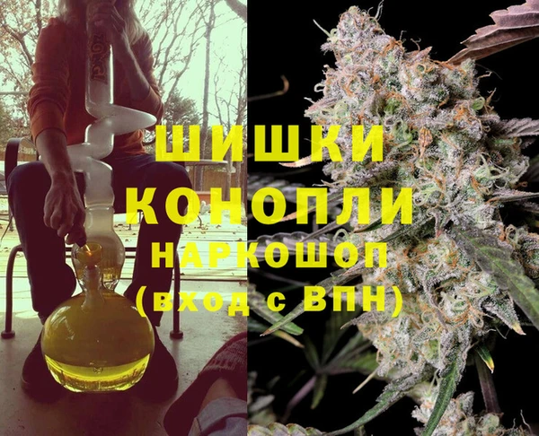 индика Армянск