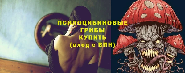 PSILOCYBIN Аркадак