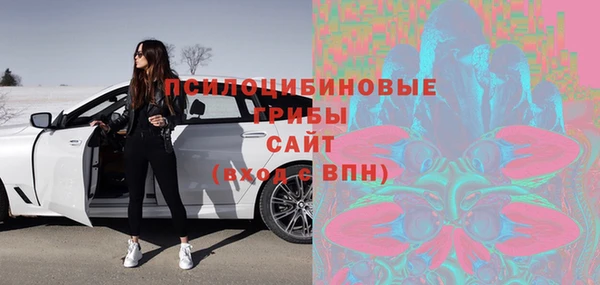 индика Армянск